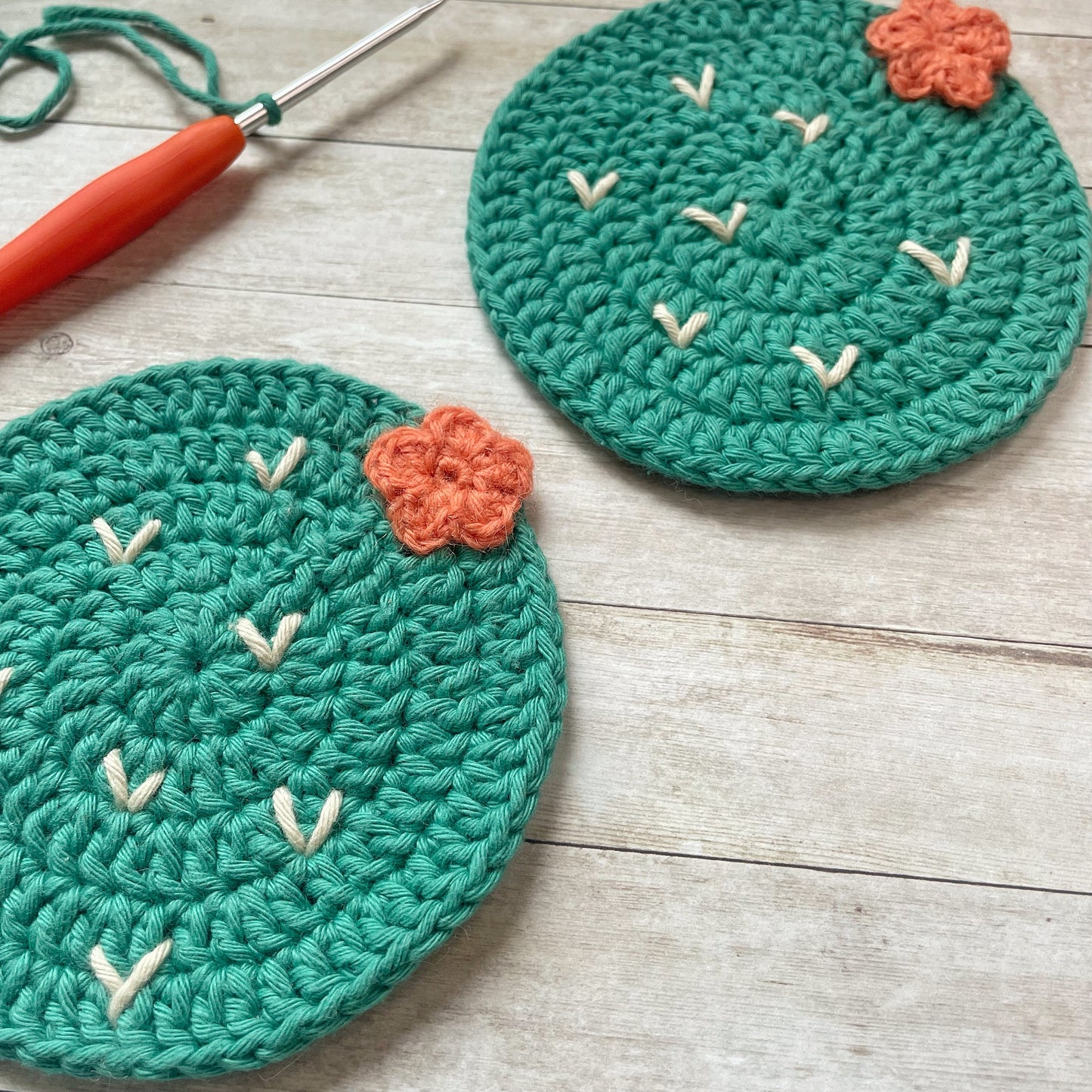 Crochet Cactus Coasters | Set of 2