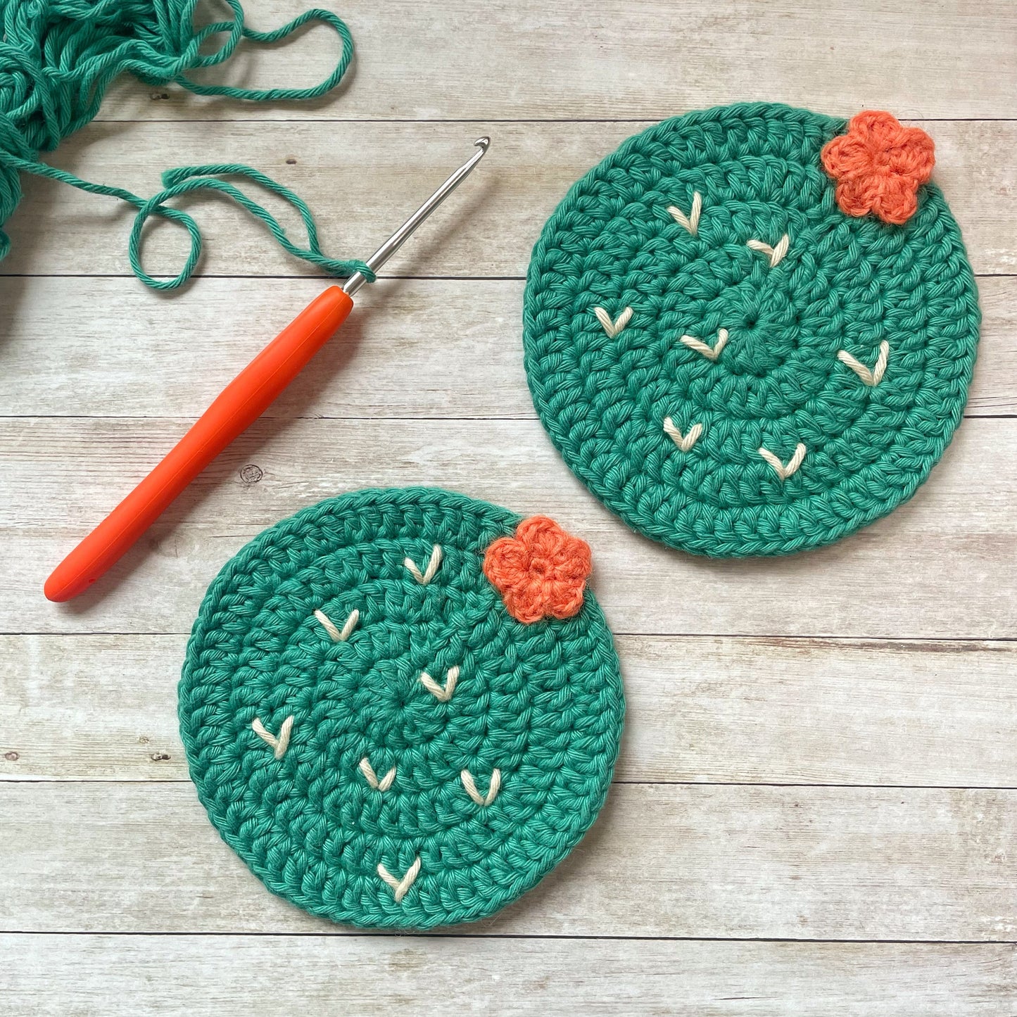 Crochet Cactus Coasters | Set of 2