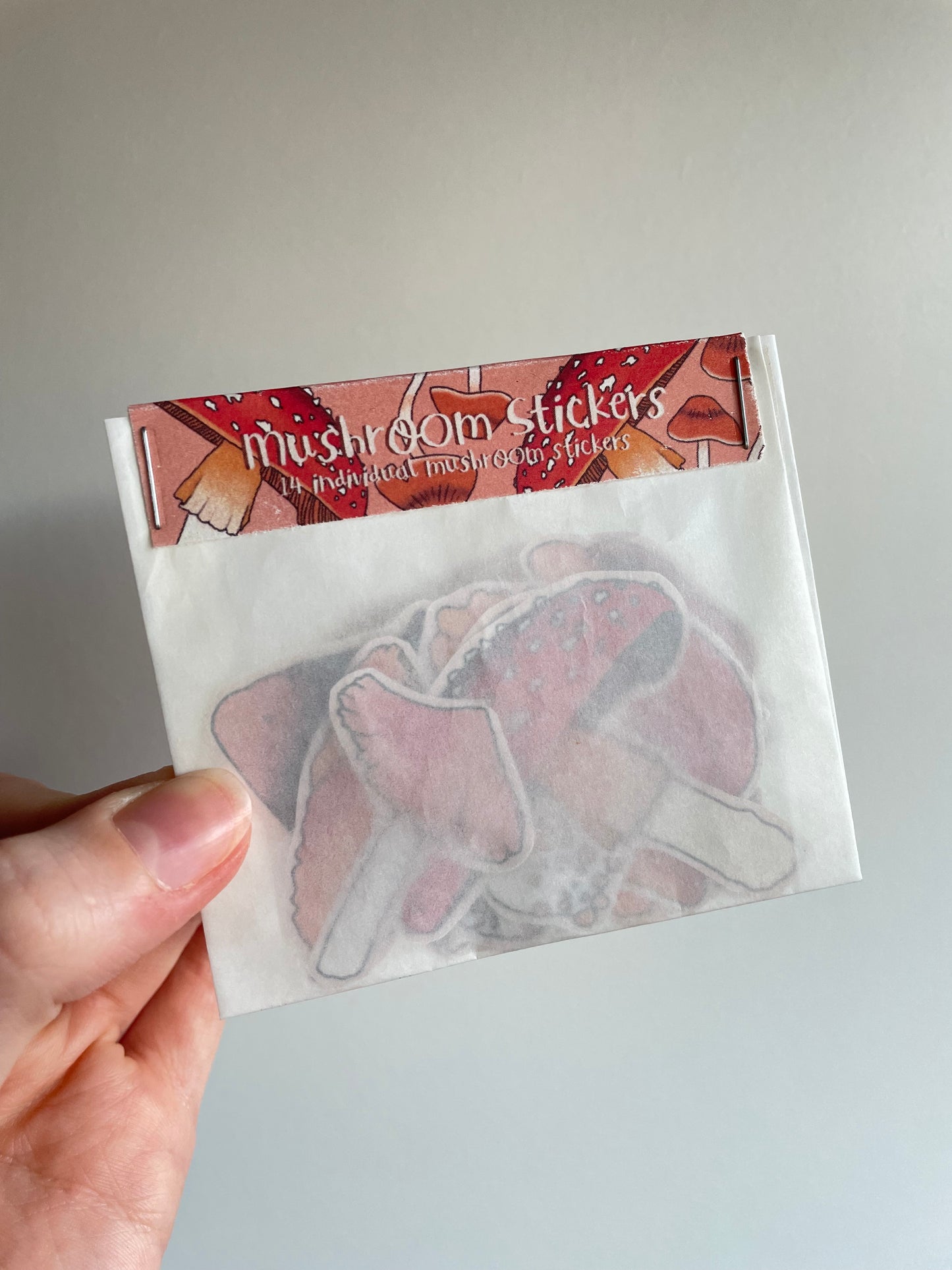 Autumn Mushrooms Sticker Set | Autumnal Journal Stickers