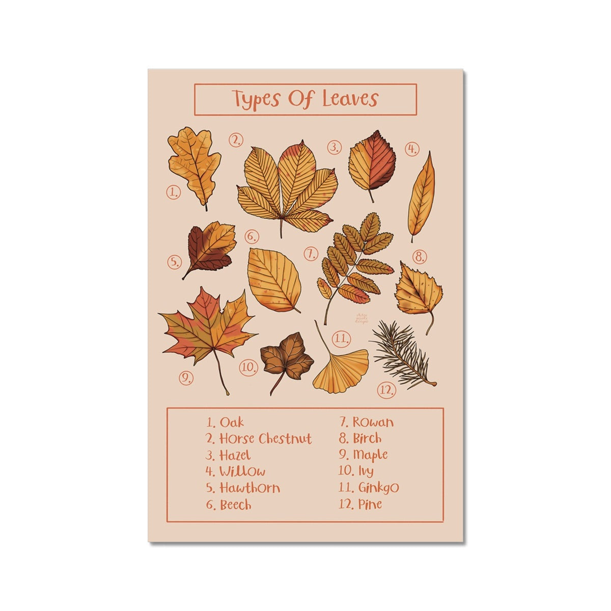 Types of Leaves Fine Art Print