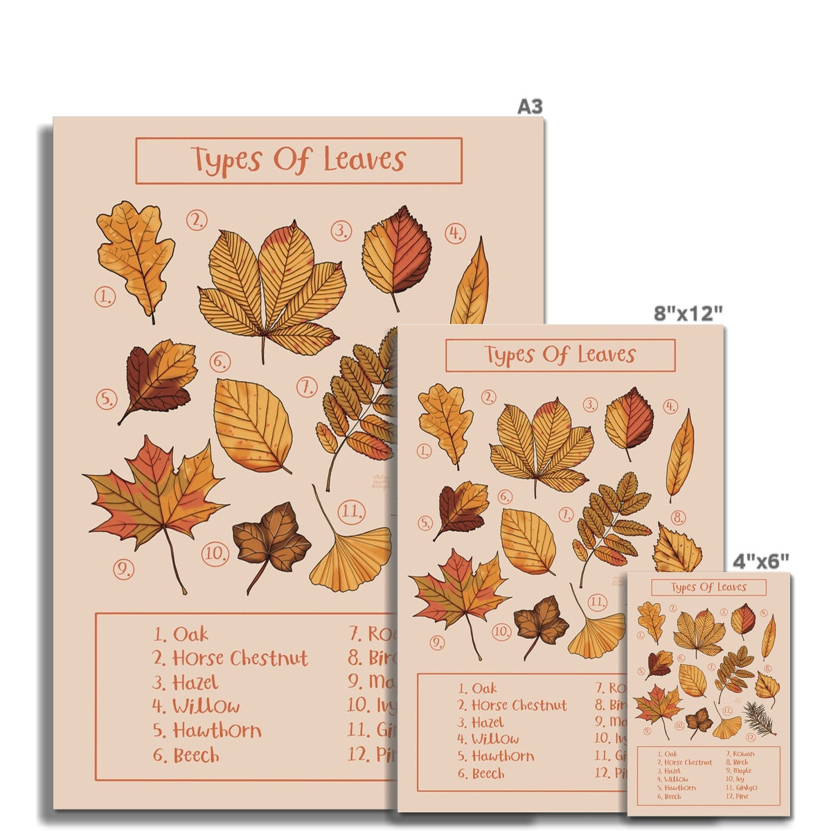 Types of Leaves Fine Art Print