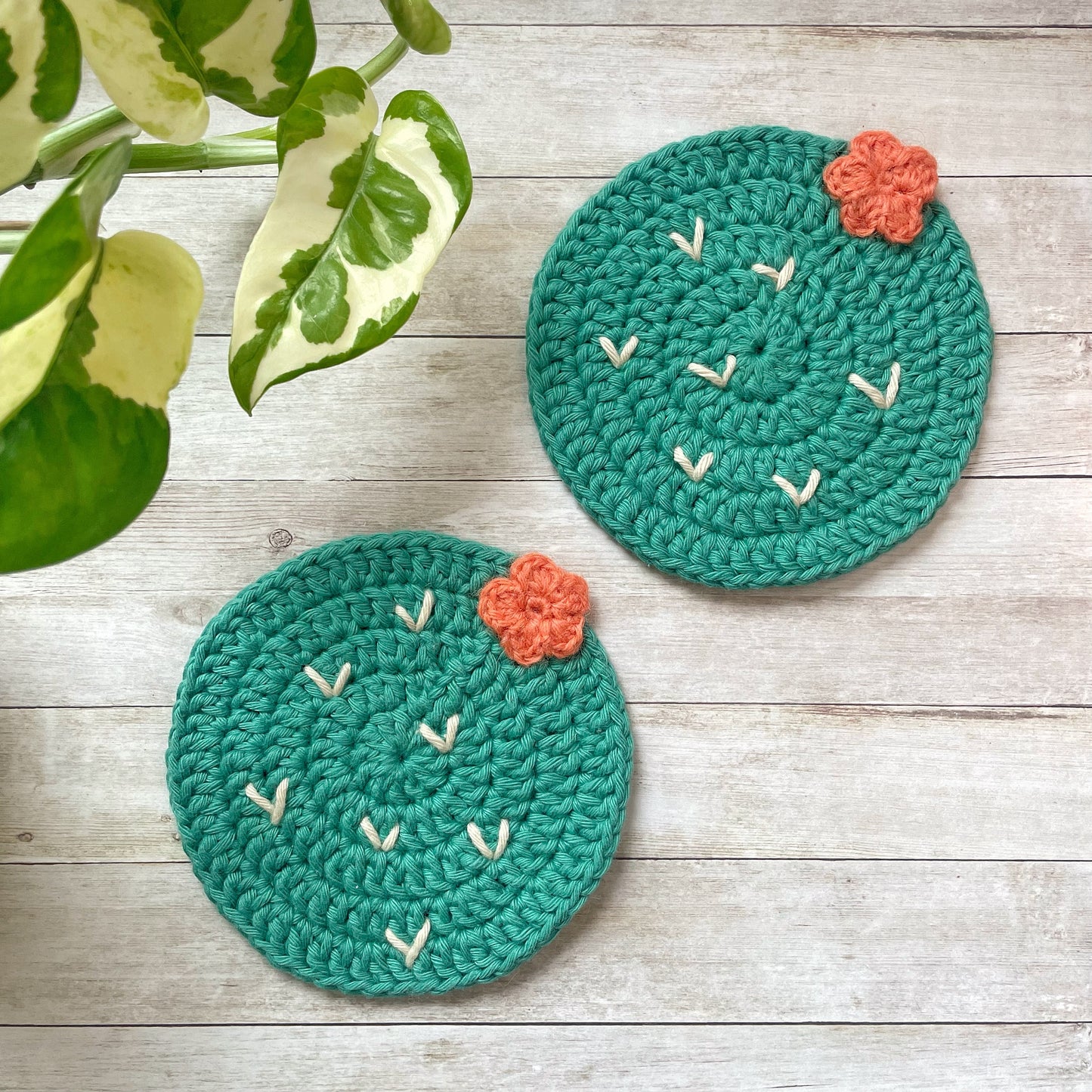 Crochet Cactus Coasters | Set of 2