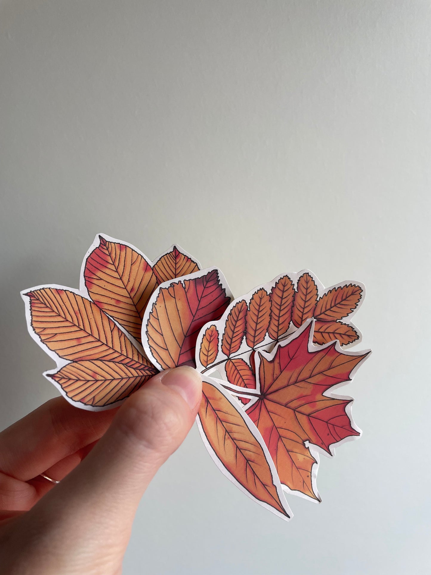 Autumn Leaves Sticker Set | Autumnal Journal Stickers