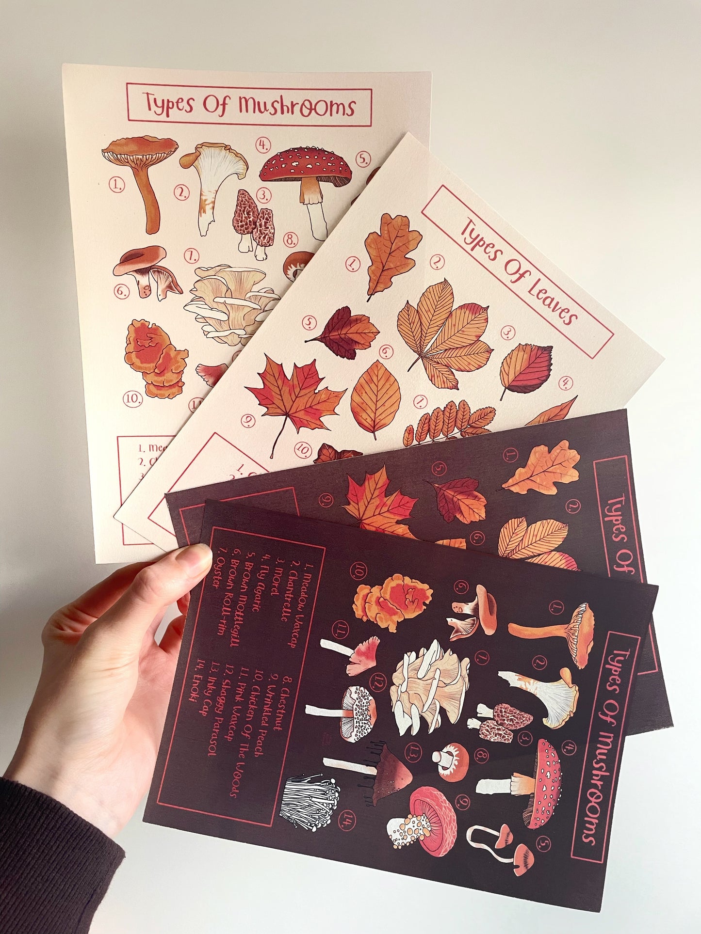 Types of Mushrooms Art Print | Digital Download