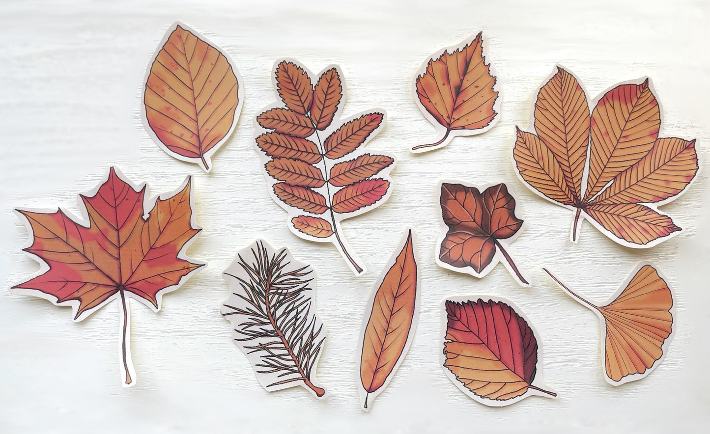 Autumn Leaves Sticker Set | Autumnal Journal Stickers