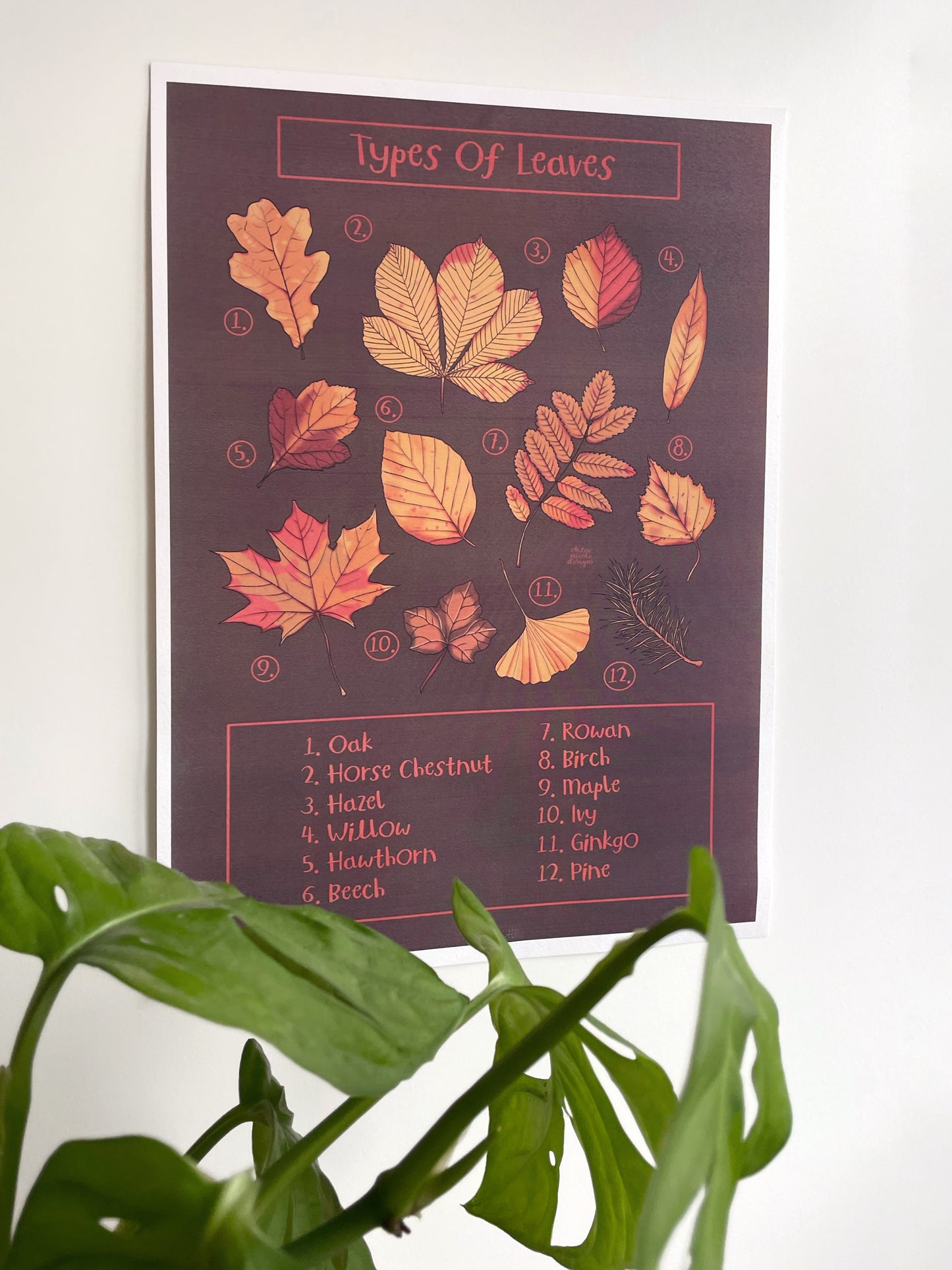 Types of Leaves Art Print | Digital Download