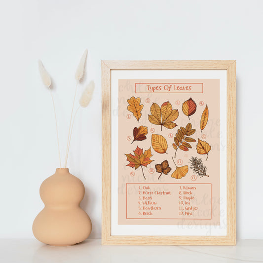 Types of Leaves Fine Art Print