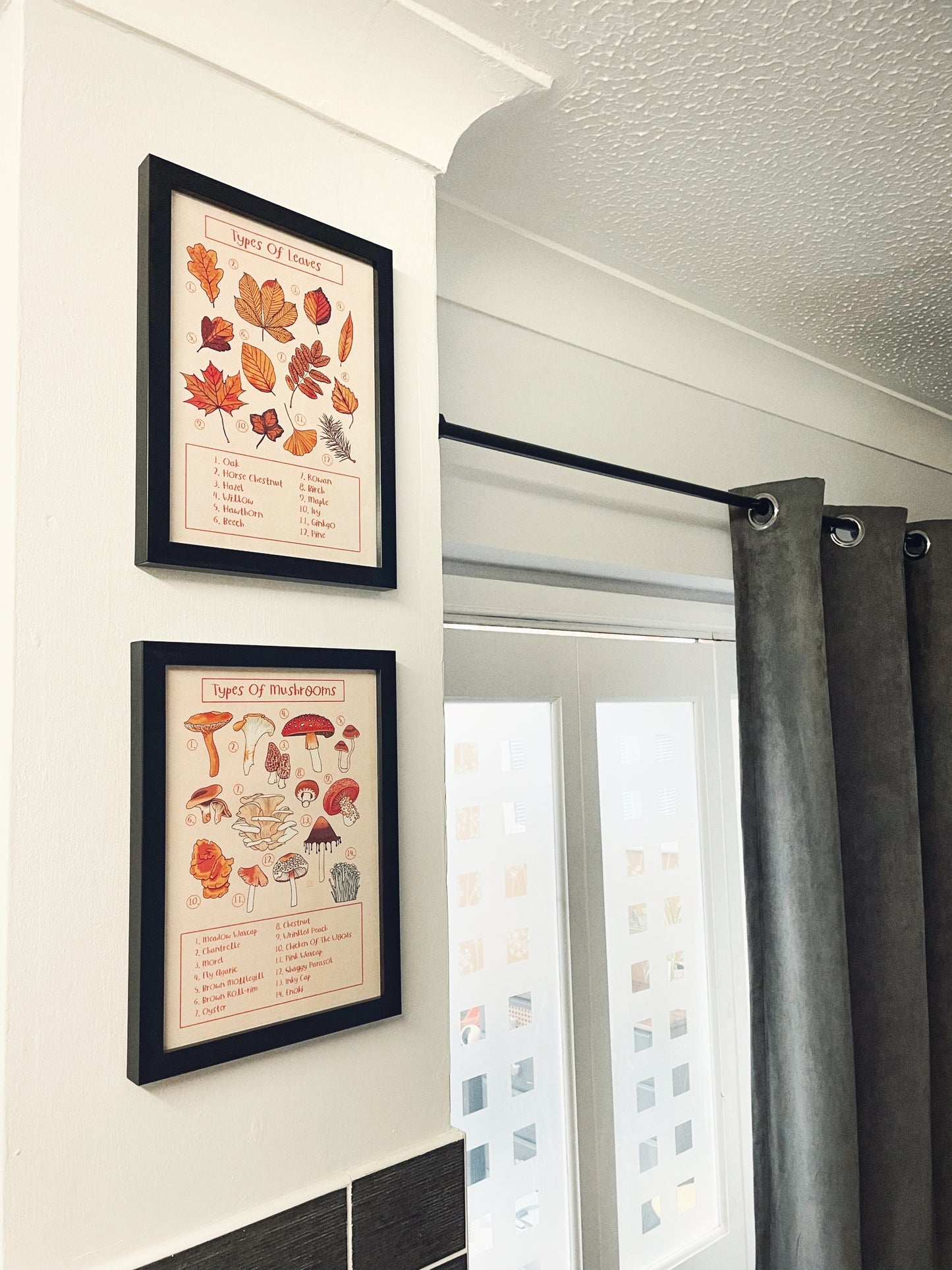 Types of Leaves Fine Art Print