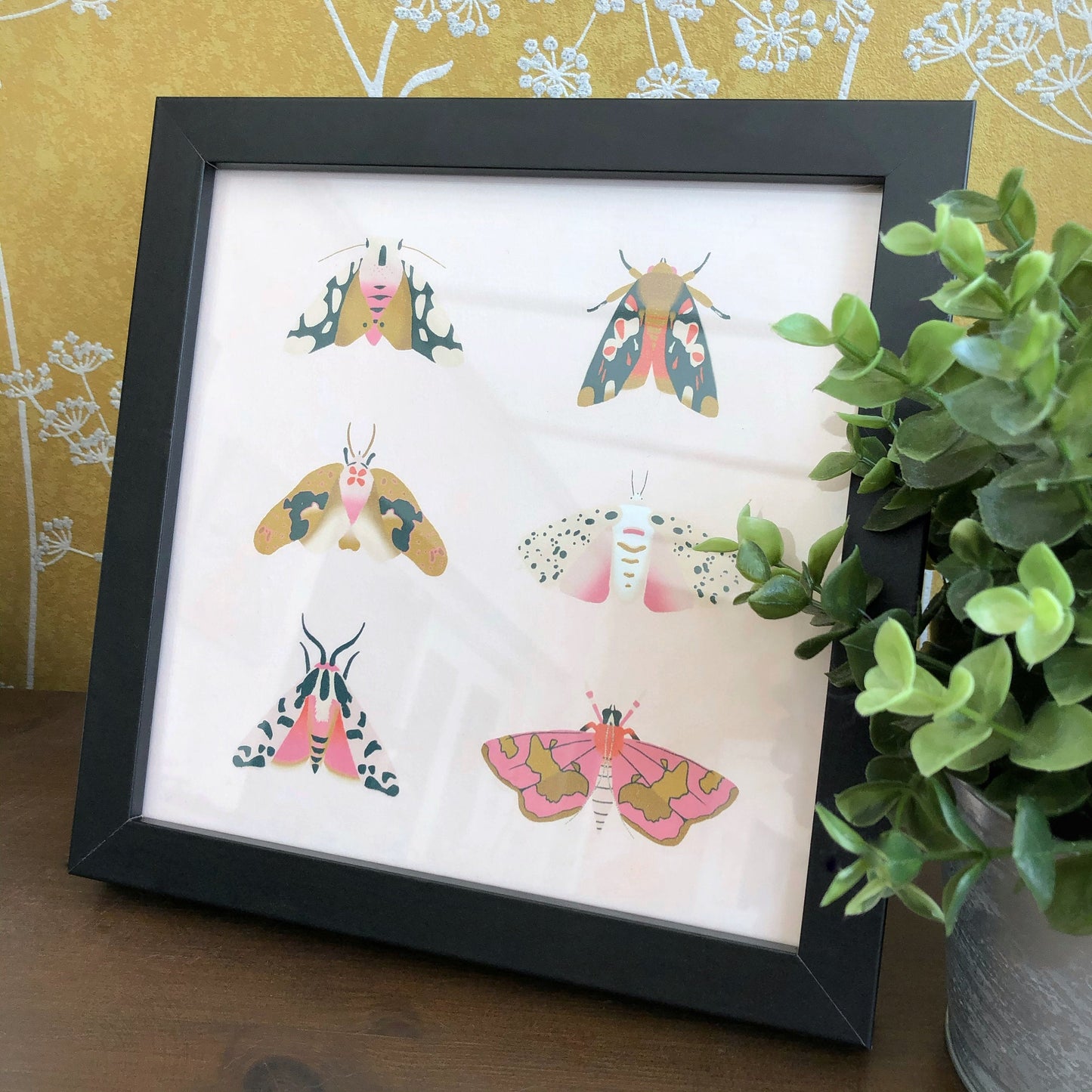 Square Moth Print | Wall art