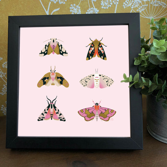 Square Moth Print | Wall art