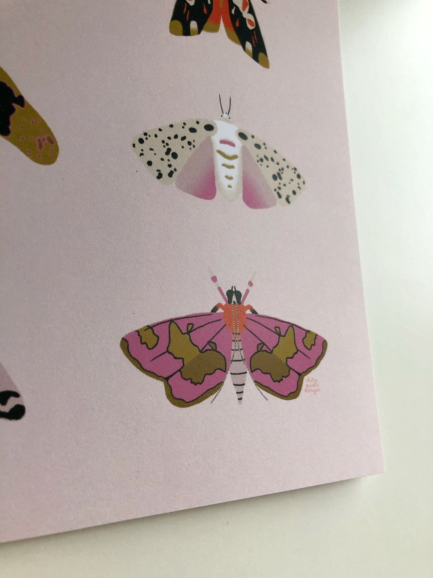 Square Moth Print | Wall art