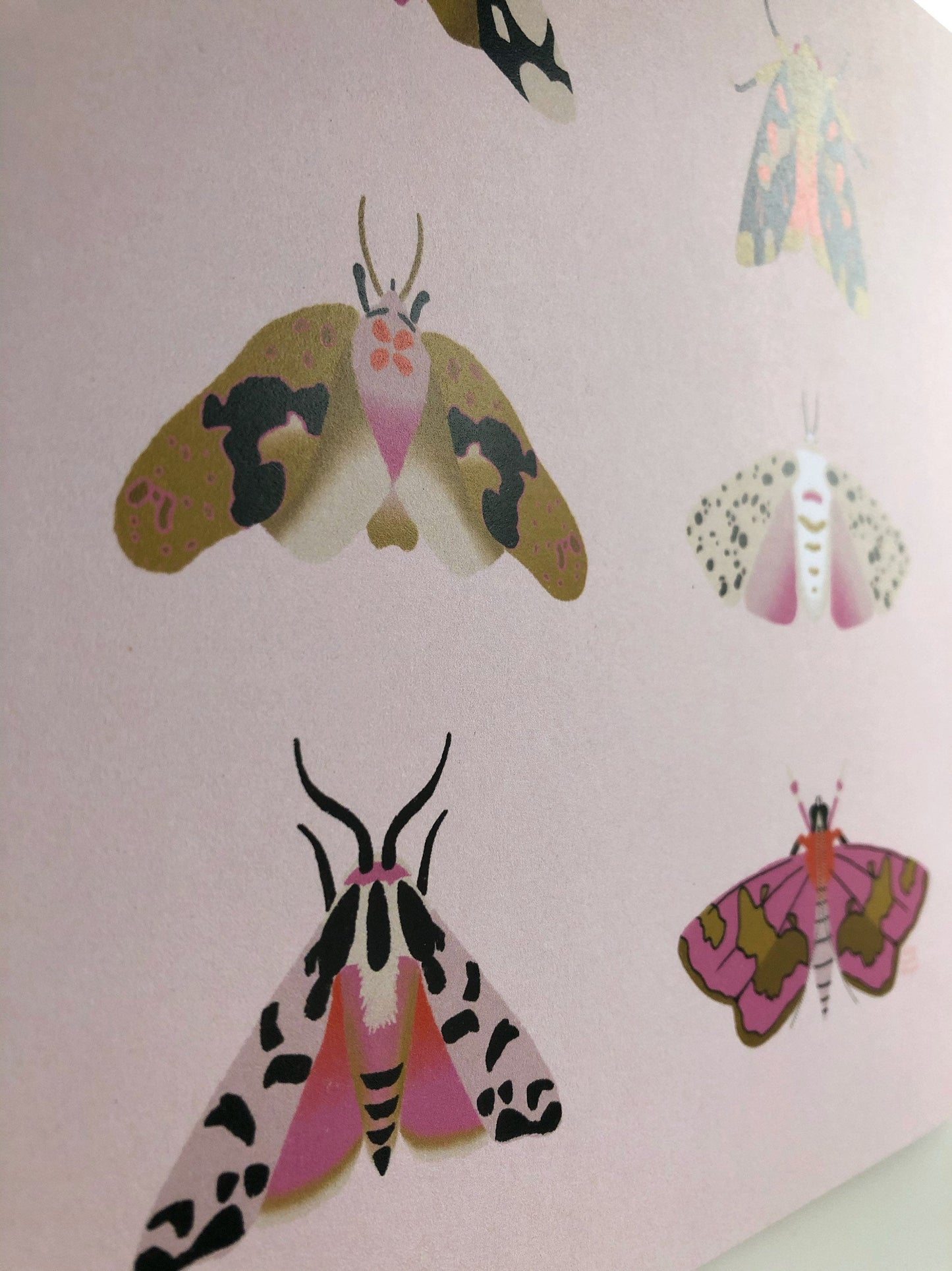 Square Moth Print | Wall art